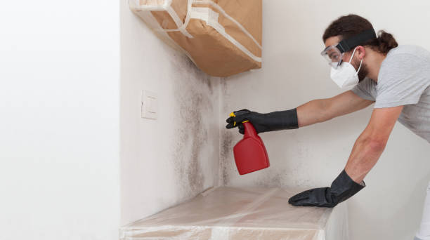 Professional Crawl Space Mold Remediation technician working in Saint Paul, MN