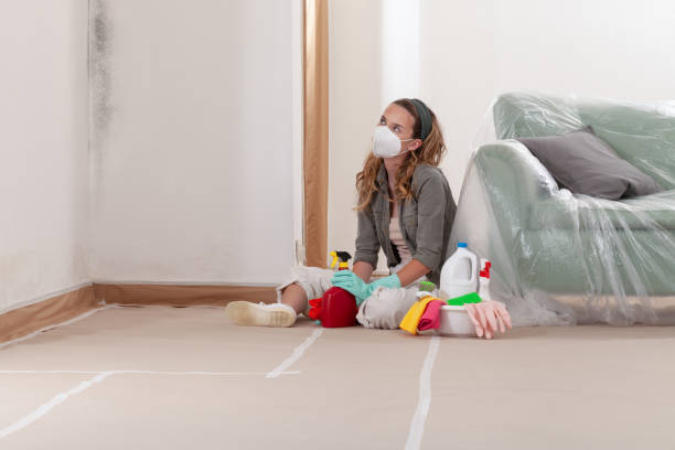 Reliable Crawl Space Mold Remediation contractor in Saint Paul, MN by 24 Hour Mold Removal